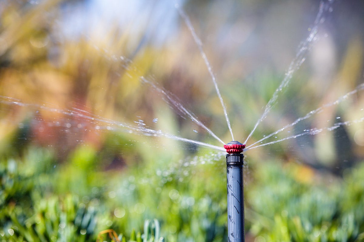 22SAFPROPR – 17–24 ft Mini Rotor Sprinkler – Full Spray Pattern (360°) with  Pressure Regulator