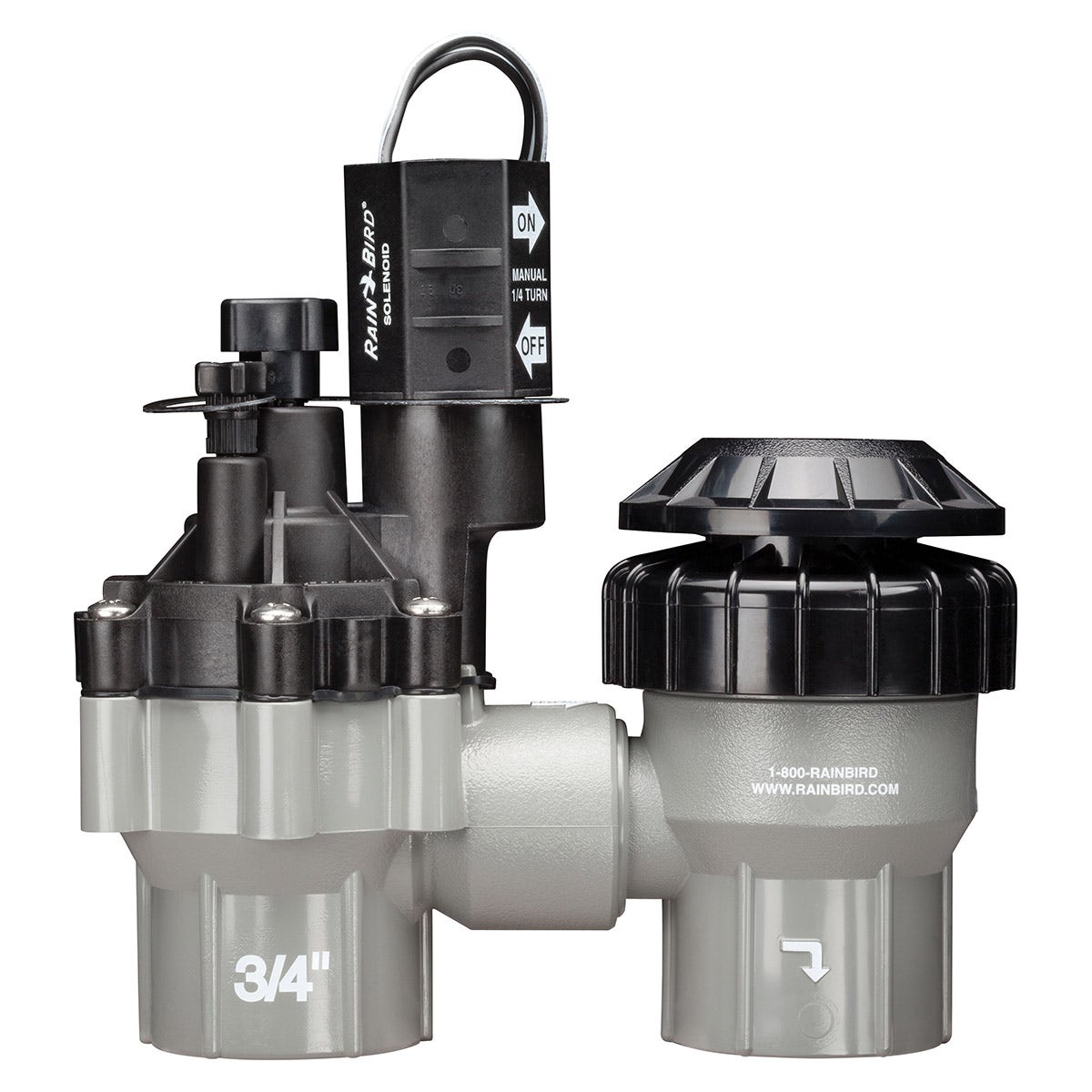 DASASVF075 - Anti-Siphon Valve - 3/4 in. FPT Threads